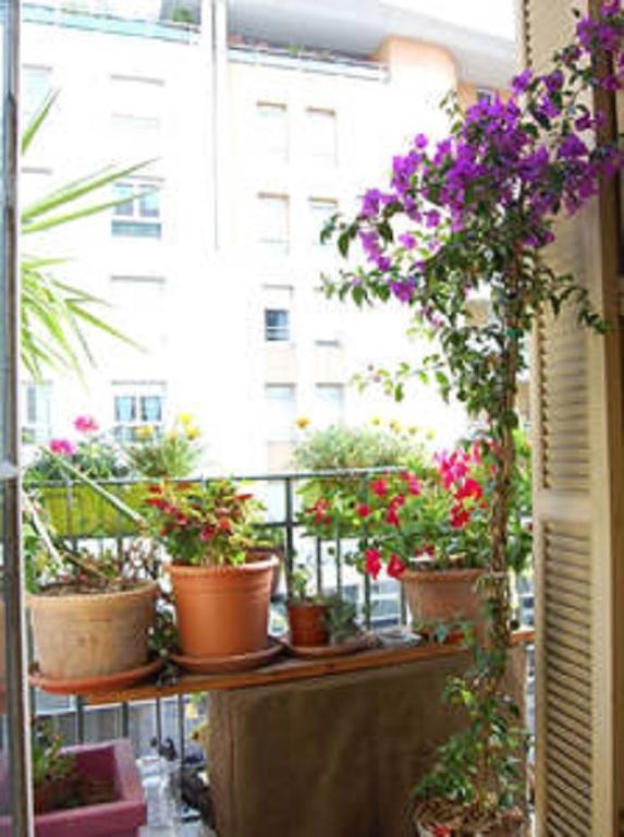 Nissa La Bella Appartement Nice Buitenkant foto